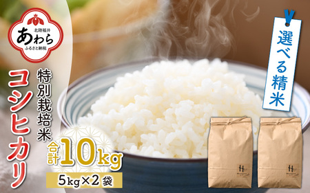 コシヒカリ白米10キロ　低農薬米