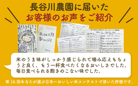 【令和7年産 新米】定期便《6ヶ月連続お届け》精米 にこまる 5kg×2袋 10kg（計60kg）＜低農薬栽培＞ ／ 高品質 鮮度抜群 福井県 あわら市産 ブランド米 白米 お米 米 [aw066-k002]