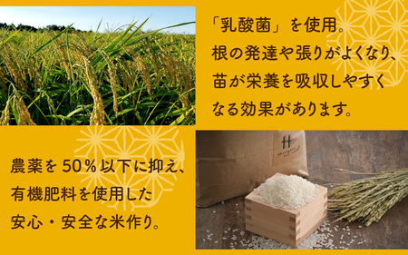 ふるさと納税 【玄米】《定期便4ヶ月》令和5年産 新米 仙北市産 おば