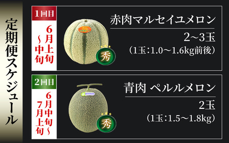 先行予約】《定期便全2回》メロン好きにはたまらん！赤肉青肉食べ比べ