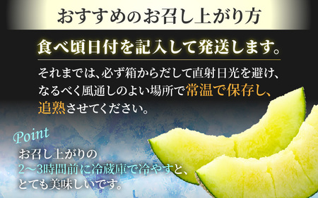 【先行予約】《定期便全2回》佐藤農園のメロン好きにはたまらん！赤肉青肉食べ比べ（マルセイユ・ペルルメロン）計4～5玉 農家直送 秀品 お届け！/ 特産 旬 夏 果物 完熟 メロン 朝どれ 美味しい お取り寄せ ※2026年6月上旬より順次発送 [aw069-b002]