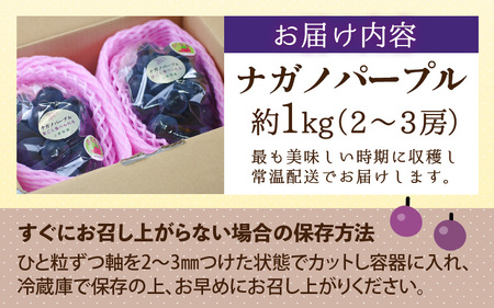 【先行予約】【種なし】【朝採れ】【秀品】上野梨園のナガノパープル 約1kg 農園直送【上野の葡萄】 / ぶどう フルーツ 果物 くだもの 贈答 お土産 種なし 旬 皮ごと食べる ポリフェノール 美容 レスベラトロール ぶどう狩り 巨峰  甘い 大粒 新鮮 濃厚※2026年8月下旬より順次発送 [aw077-a023]