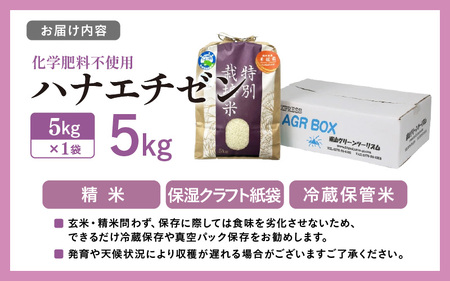 令和6年 10kg 福井県産 精米 ハナエチゼン