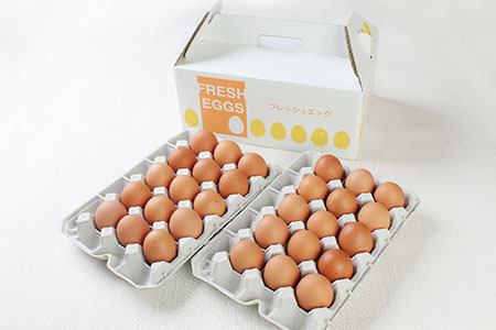 ミネラルを豊富に含んだ越前赤玉子30個(27個+卵割れ補償3個)