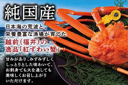 【越前産 1.2kg】"カット生" 紅ズワイガニ(ハーフポーション) 脚棒・爪・爪下・肩 入り 冷凍 紅 ずわい蟹