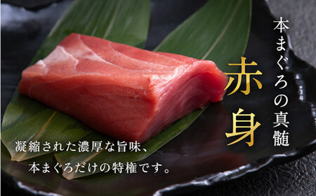 【定期便3回】冷蔵でお届け!人気の生本マグロ堪能セット(柵どり) 計750g × 3回お届け (毎月お届け)