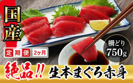 【定期便2回】冷蔵でお届け！大満足！生本マグロ 赤身（柵どり） 750g × 2回お届け （毎月お届け）