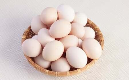 越前産 さくら玉子 50個（45個＋割れ補償5個入り）【冷蔵・卵】