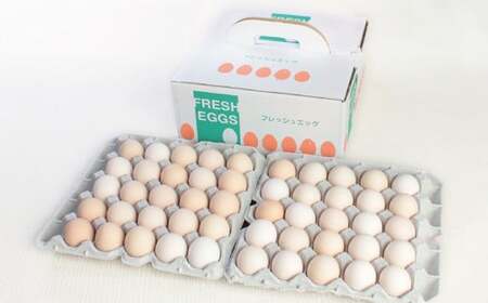 越前産 さくら玉子 50個（45個＋割れ補償5個入り）【冷蔵・卵】