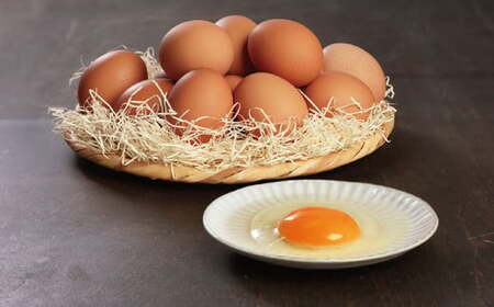 越前産赤玉子・さくら玉子セット50個入り（45個+割れ補償5個入り）【冷蔵・卵】