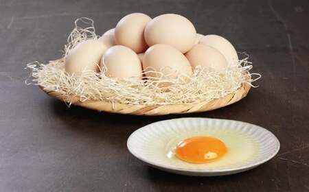 越前産赤玉子・さくら玉子セット50個入り（45個+割れ補償5個入り）【冷蔵・卵】