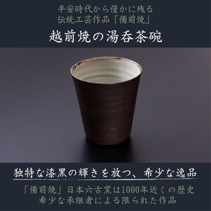 【日本茶/湯呑・高級ギフトセット】【越前三匠の響宴 香茶庵】 ~青製煎茶製法「味真野茶」、越前伝統継承「越前湯呑」、越前「漉き合わせ和紙箱」 限定特別作品~