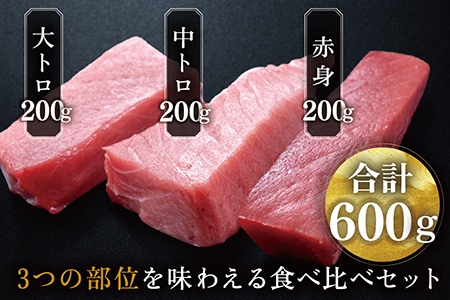 【冷蔵】絶品！生本マグロ セット 大トロ 250g + 中トロ 250g + 赤身 250g　（すべて柵どり）