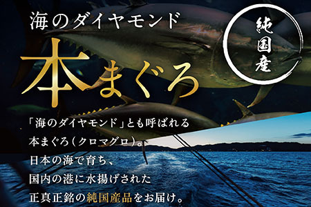 【冷蔵】絶品!生本マグロ 大トロ 400g(柵どり)