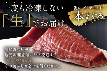 【冷蔵】絶品！国産生本マグロ堪能セット 大トロ 50g + 中トロ 50g + 赤身 70g 合計約170g（柵どり）