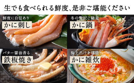 【越前産】刺身もOK！カット済み紅ズワイガニ600g カニポーション（ハーフ）足棒+かに肩+蟹爪+爪下