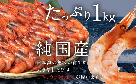 【福井県産】鮮度抜群の大きい甘エビ1kg小分け（総重量1.2kg） ※無添加 天然 甘えび真空パック済 