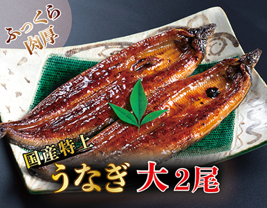 国産！特上うなぎのかば焼き 約200g × 2尾