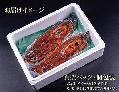 国産！特上うなぎのかば焼き 約200g × 3尾