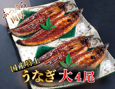 国産！特上うなぎのかば焼き 約200g × 4尾（ 2尾×2パック）