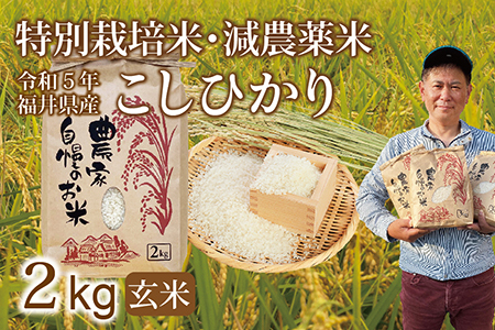 減農薬米 令和２年新米 三重県産 コシヒカリ 玄米２０キロ 10kg×2 - 米 ...