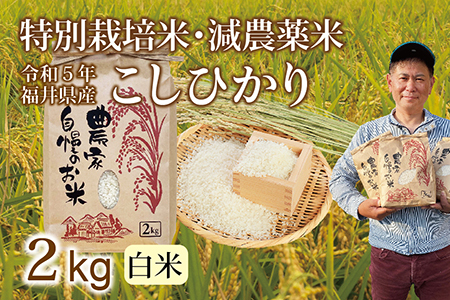 新米〉減農薬米 こしひかり 2kg ／令和5年福井県産 （白米） | 福井県