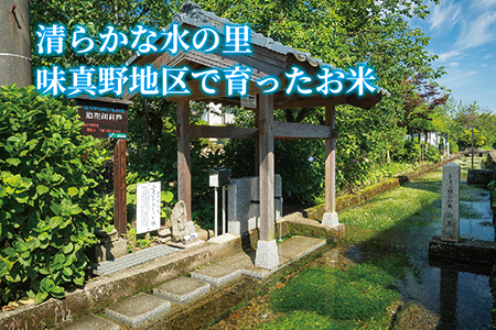 〈新米〉減農薬米 こしひかり 12kg ／令和5年福井県産 （玄米）