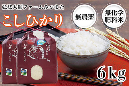 令和6年度産 新米 こしひかり 6㎏（無農薬 無化学肥料）