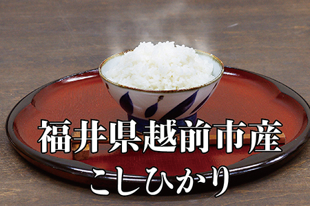 【定期便6回】令和6年度産 新米 こしひかり 6㎏ 合計36kg