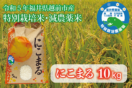 令和５年産 福井県越前市産にこまる（玄米２０キロ）福井県特別栽培米