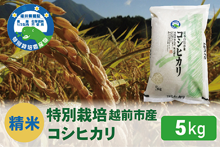 【令和5年度新米 精米】特別栽培 越前市産コシヒカリ 5kg