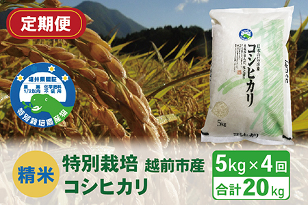 【定期便4回】（令和6年度新米 精米）特別栽培 越前市産コシヒカリ 5kg×4回