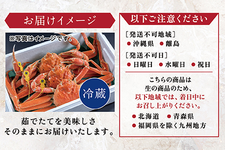 【2026年発送】越前がに（オス）「ずわいがに」（400g～600g） 訳あり 1杯