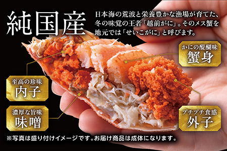 【冷蔵発送】越前がに(メス)「せいこがに」 大サイズ 180g前後 × 3杯