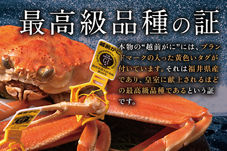 【冷蔵発送】越前がに(メス)「せいこがに」 訳あり 特大サイズ 220g前後 × 5杯