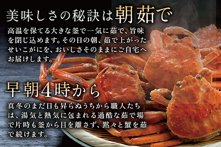 【冷蔵発送】越前がに(メス)「せいこがに」 訳あり 特大サイズ 220g前後 × 5杯