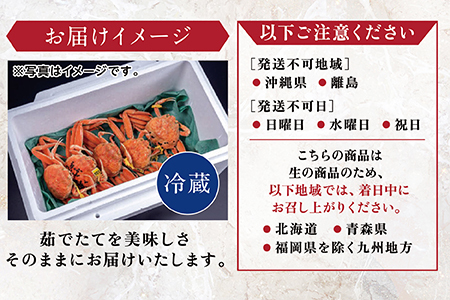 【冷蔵発送】越前がに(メス)「せいこがに」 訳あり 特大サイズ 220g前後 × 5杯