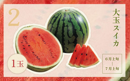 フルーツ 定期便 B 6回コース 旬のフルーツ メロン スイカ マスカット 2026年6月発送 [J-3218]