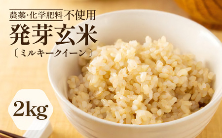 【令和7年産】発芽玄米 ミルキークイーン 2kg 甘みがありモチモチやわらか 農薬・化学肥料不使用 特別栽培米 【無洗米 米 玄米 ギャバ GABA 特別栽培 食物繊維 栄養 真空パック ごはん ご飯 おいしい ふるさと納税米】 [A-2987]