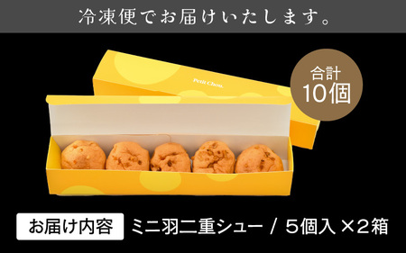 福井の銘菓を洋菓子で味わう 「ミニ羽二重シュー」 5個入り × 2箱セット [A-0848]