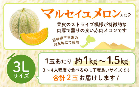 【先行予約】三里浜マルセイユメロン 3Lサイズ以上 × 2玉【2025年6月上旬以降順次発送予定】【メロン めろん フルーツ 期間限定 数量限定 旬 デザート 果物 くだもの 果実 赤肉 糖度 甘い ジューシー お取り寄せ グルメ 産地直送 お中元 】 [A-16504]