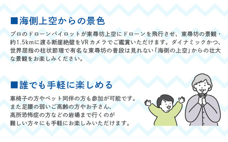 リアルタイム！VRゴーグルで東尋坊観光！！ 1名様分【感謝券】【東尋坊 観光 体験 絶景 名勝 体験チケット VR ドローン】 [A-18102]