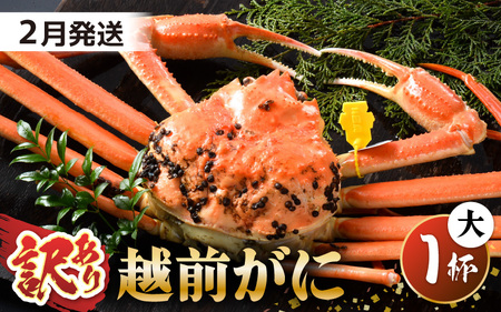 越前蟹 訳あり 茹で 越前ズワイガニ 大 1杯 脚折れ 【2月発送分】 [I-1401_02]