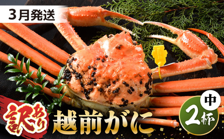 越前蟹 訳あり 茹で 越前ズワイガニ 中 2杯 脚折れ 【3月発送分】 [L-1401_03]
