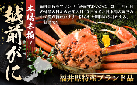 越前蟹 訳あり 茹で 越前ズワイガニ 大 2杯 脚折れ 【2月発送分】 [N-1401_02]