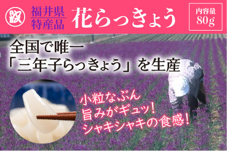 越前そば2人前 と 坂井市名物セット [A-1726]