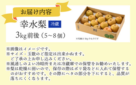 【先行予約】【幸水梨】3kg前後 (5~8個) たっぷりの果汁を含んだジューシーな梨！【2025年8月上旬以降順次発送予定】【梨 なし 和梨 先行予約 フルーツ 甘い みずみずしい 果実 果物 新鮮 お土産 贈り物 旬の果物】 [A-15007]