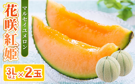 【先行予約】坂井市砂丘地のマルセイユメロン 花咲紅姫 3L以上 2個入り 化粧箱入り 【2026年6月中旬以降順次発送予定】 【メロン めろん フルーツ デザート 果物 くだもの 果実 赤肉 糖度 甘い ジューシー お取り寄せ グルメ 産地直送 贈答 ギフト 贈り物】 [A-19102]