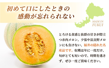 【先行予約】坂井市砂丘地のマルセイユメロン 花咲紅姫 3L以上 2個入り 化粧箱入り 【2026年6月中旬以降順次発送予定】 【メロン めろん フルーツ デザート 果物 くだもの 果実 赤肉 糖度 甘い ジューシー お取り寄せ グルメ 産地直送 贈答 ギフト 贈り物】 [A-19102]