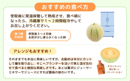 【先行予約】坂井市砂丘地のマルセイユメロン 花咲紅姫 3L以上 2個入り 化粧箱入り 【2026年6月中旬以降順次発送予定】 【メロン めろん フルーツ デザート 果物 くだもの 果実 赤肉 糖度 甘い ジューシー お取り寄せ グルメ 産地直送 贈答 ギフト 贈り物】 [A-19102]